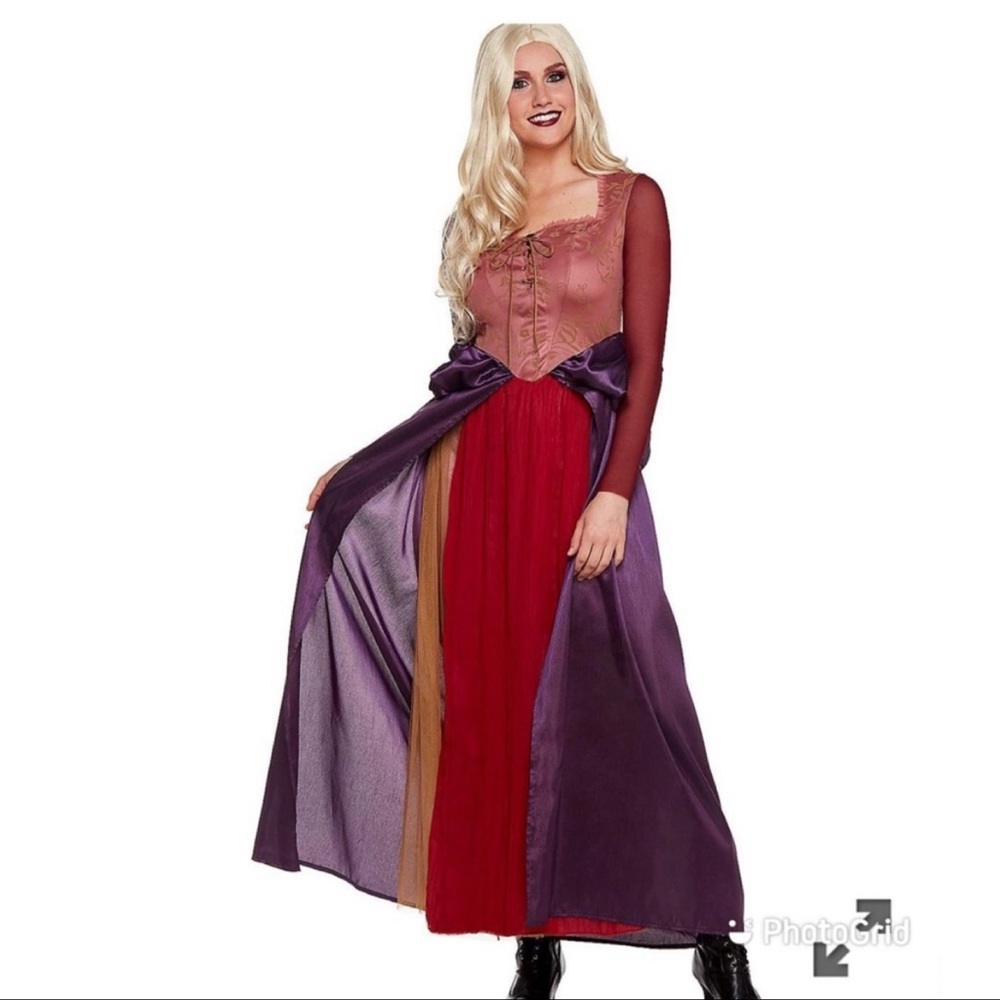 Like new Sarah Sanderson costume  L